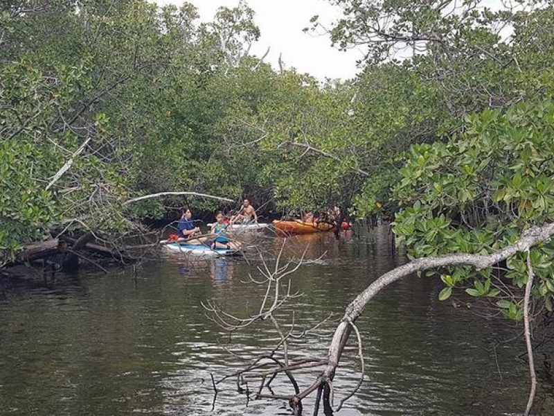 One Way Ticket To Paradise Ft. Lauderdale Exploration Paddle Tour