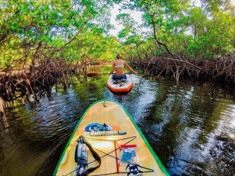 Fort Lauderdale Bonnet House Ground and Guided Paddle Board Kayak