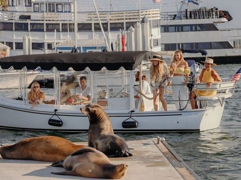 Private Luxury E-Boat Cruise with Wine, Charcuterie & Sea Lions Spotting