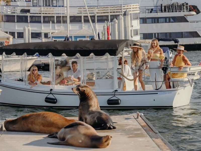 Luxury Shared E-Boat Cruise with Wine, Charcuterie & Sea Lions Spotting