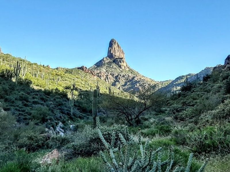 Phoenix Wilderness Hiking Tours