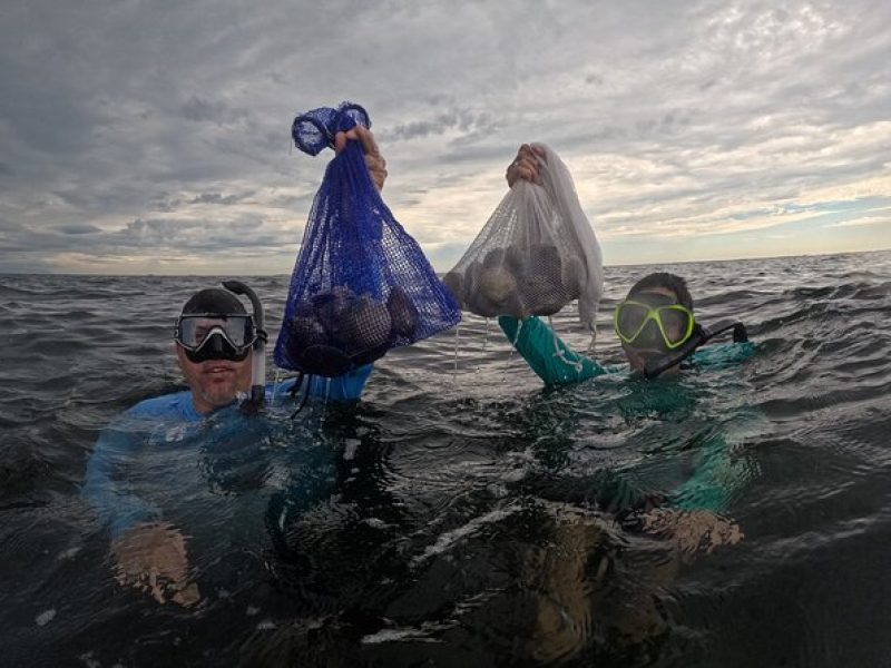 Half-Day Semi Private Scallop Tour