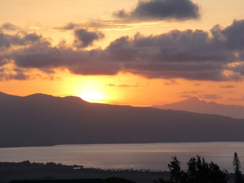 Predawn-Morning Haleakala Bike Tour 6,500 to Sea Level