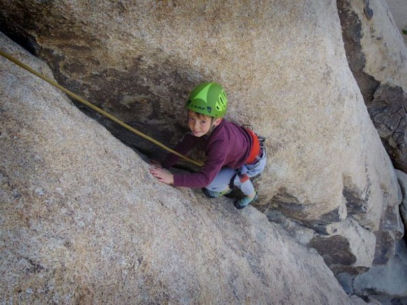 Family Rock Climbing Trips in Joshua Tree National Park (4 Hours)