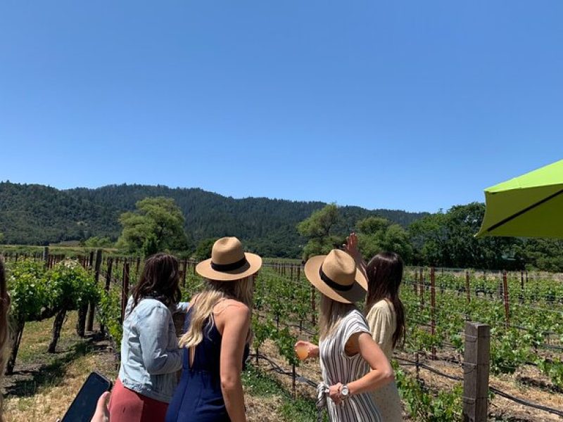 Wine Tour Pros – Napa Wine Tour: SUV Up To 6 Guests