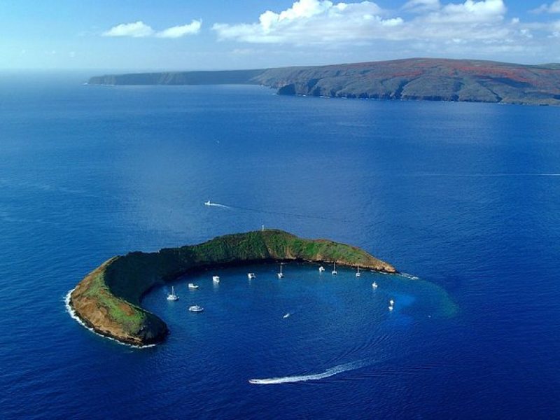 Molokini and Turtle Town Snorkeling Adventure Aboard the Malolo