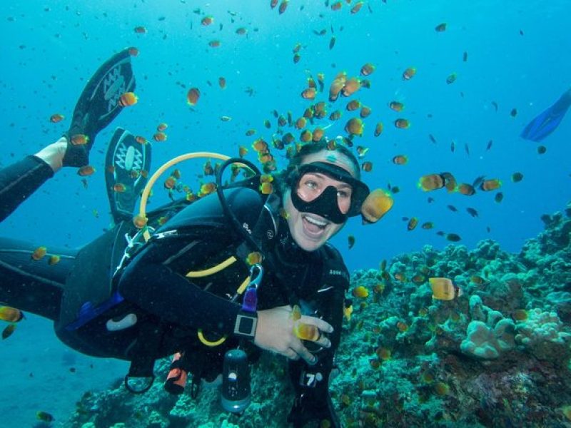 Maui Scuba Diving Introductory Lesson from Lahaina