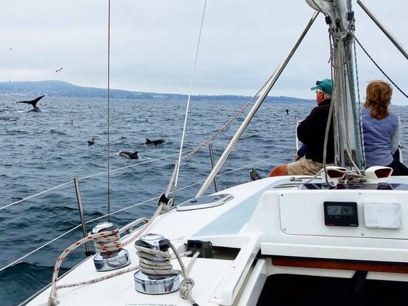 Monterey Private 3 – 4 Hour Whale Watching Cruise