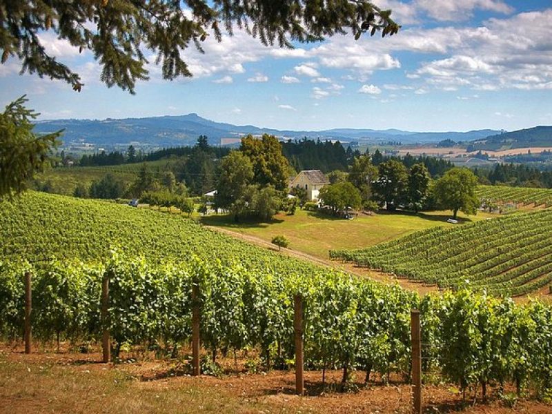 Willamette Valley Wine Tasting Tour from Portland